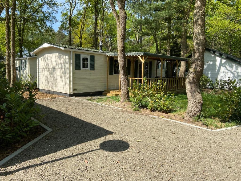 Chalet Spring room 6